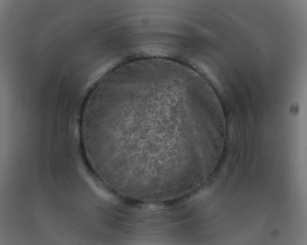 X0000092300398200709281330