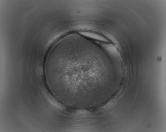 X0000092300399200709281330