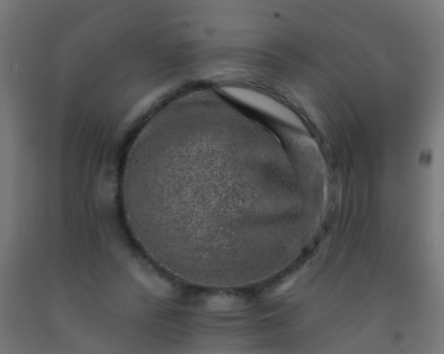 X0000092300400200709281330