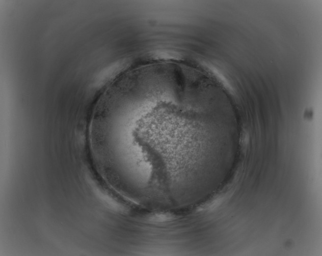 X0000092300402200709281330