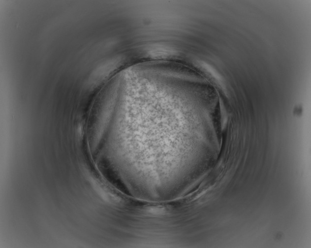 X0000092300405200709281330