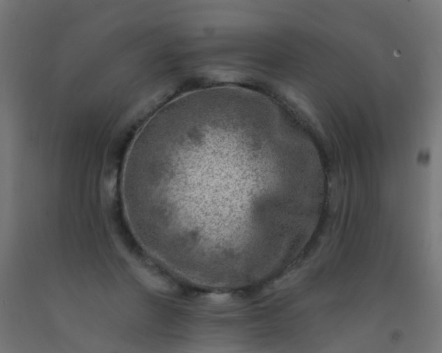 X0000092300406200709281330