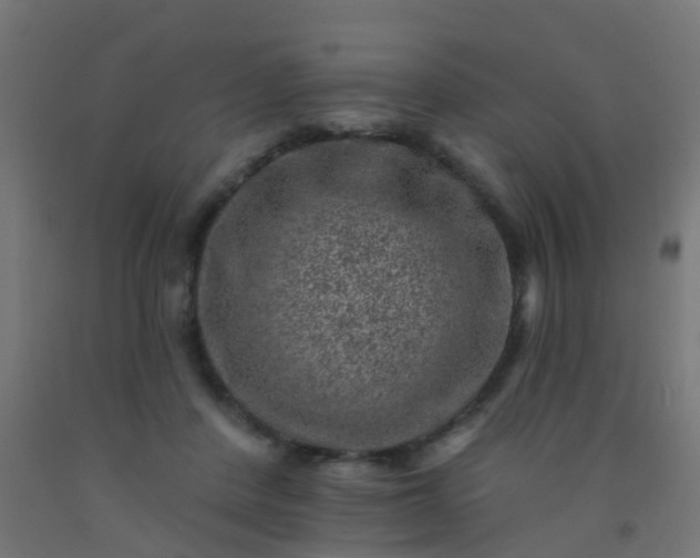 X0000092300408200709281330