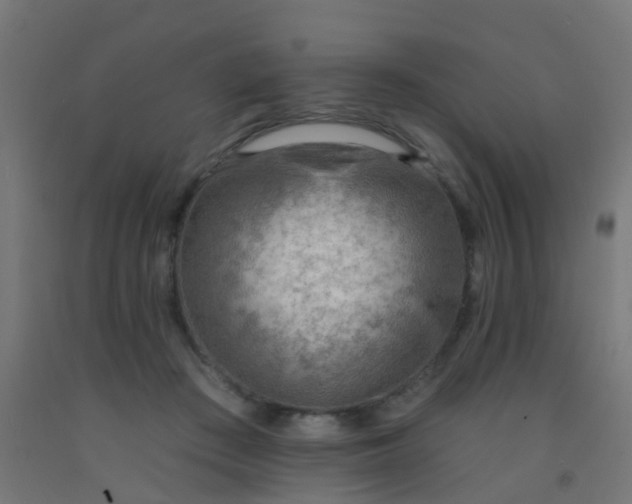 X0000092300409200709281330