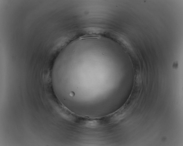 X0000092300411200709281330