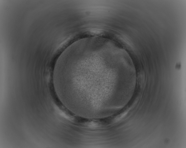 X0000092300412200709281330