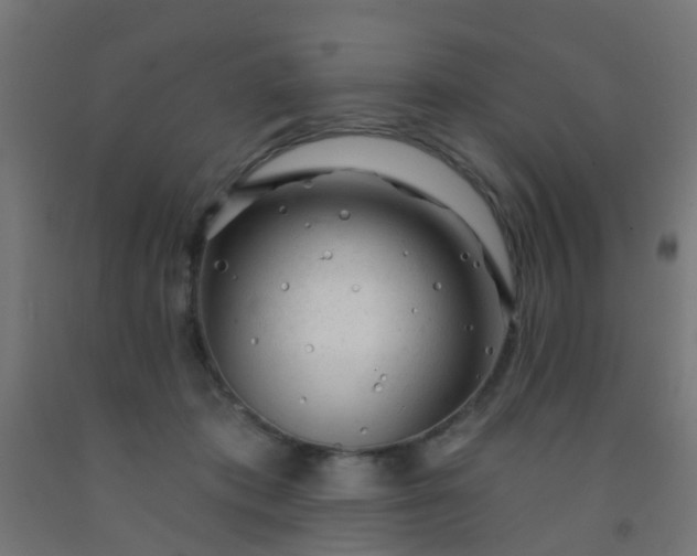 X0000092300413200709281330