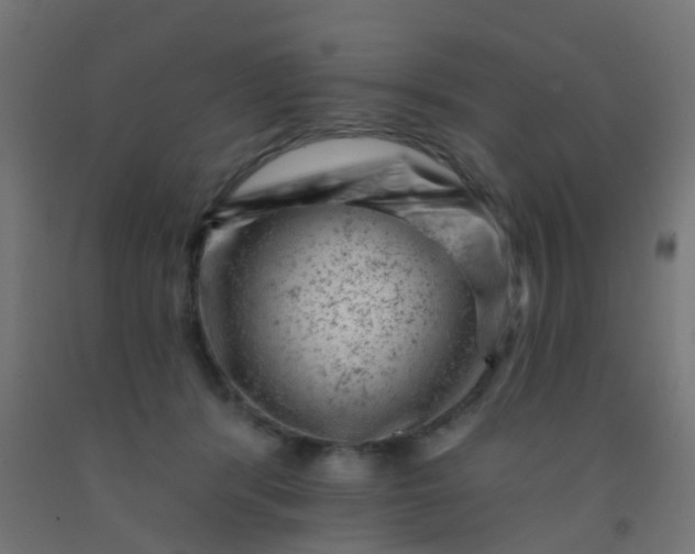 X0000092300416200709281330