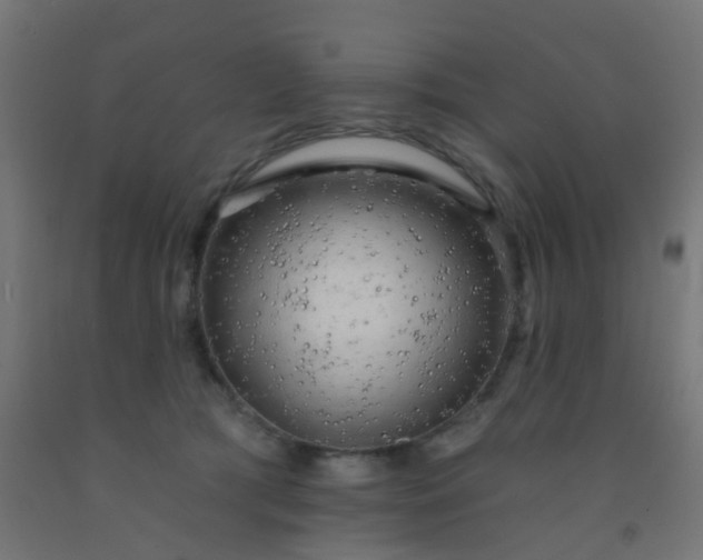 X0000092300417200709281330