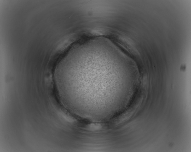 X0000092300418200709281330