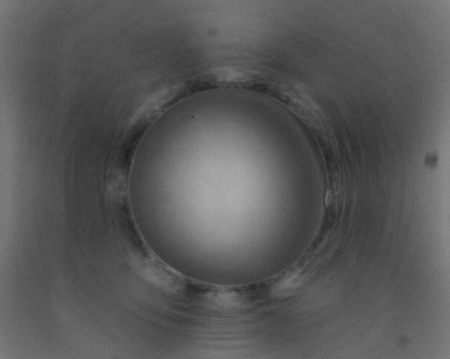 X0000092300419200709281330