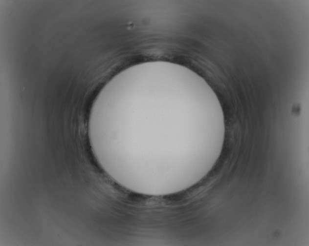 X0000092300420200709281330