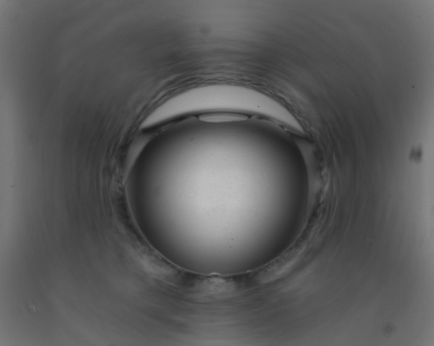 X0000092300421200709281330