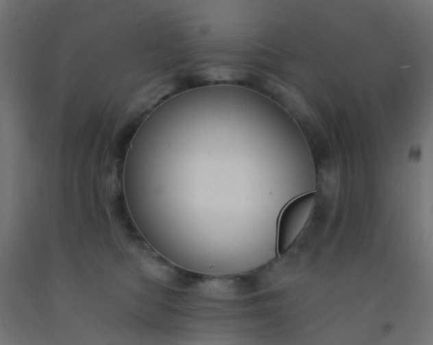 X0000092300422200709281330