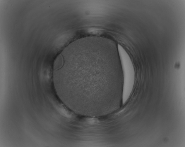 X0000092300424200709281330