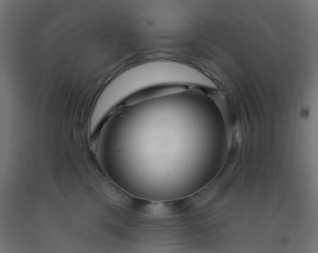 X0000092300425200709281330