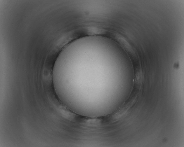 X0000092300426200709281330