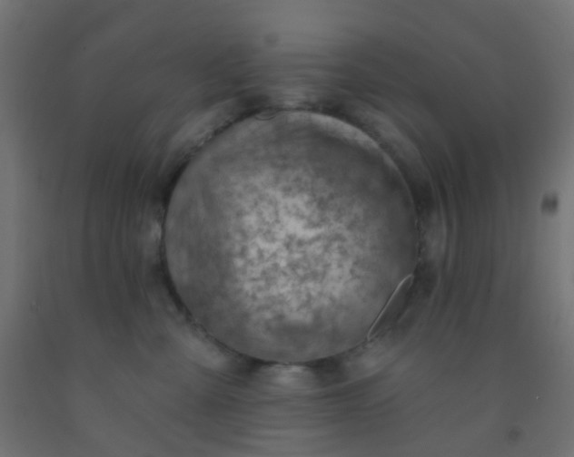 X0000092300427200709281330