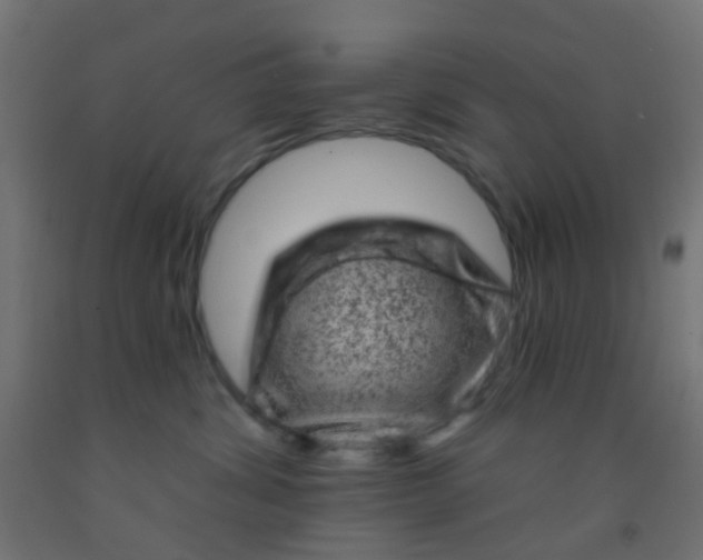 X0000092300428200709281330