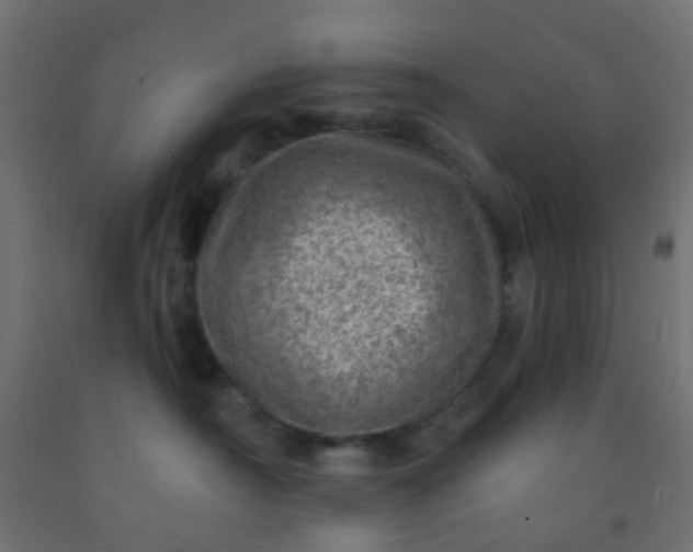 X0000092300430200709281330