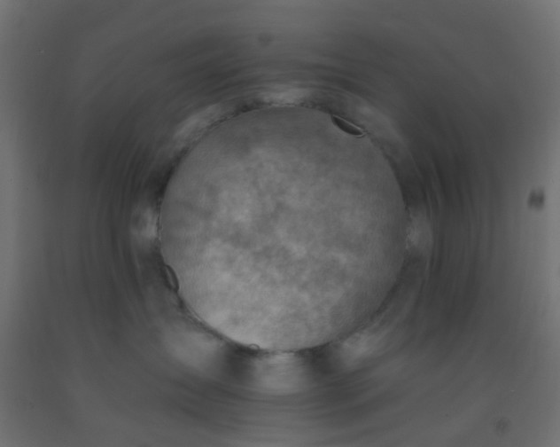 X0000092300431200709281330