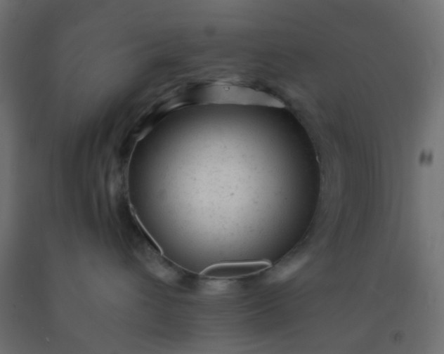 X0000092300432200709281330