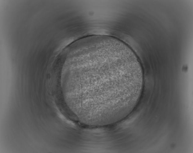 X0000092300433200709281329