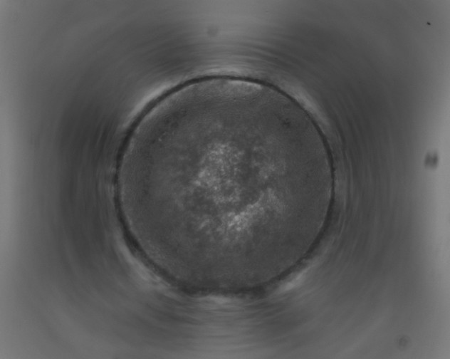 X0000092300434200709281329