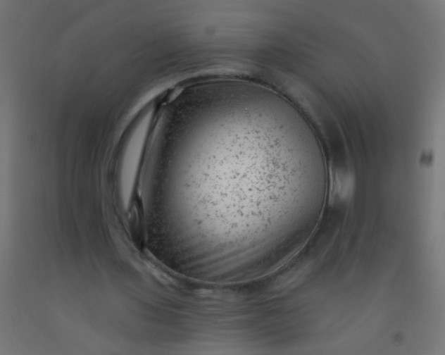 X0000092300435200709281329