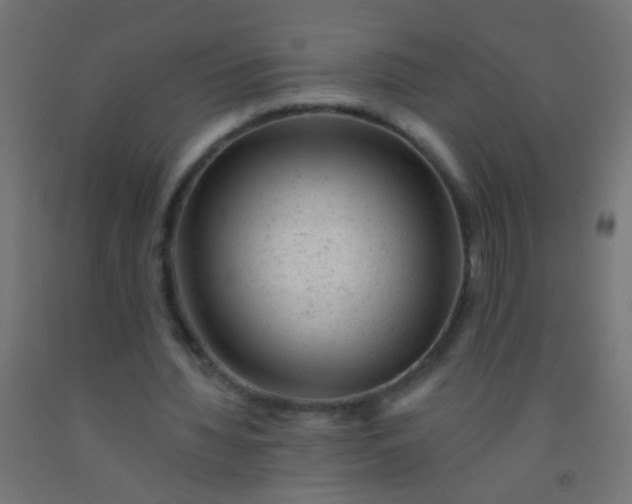 X0000092300436200709281329