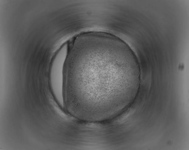 X0000092300437200709281329