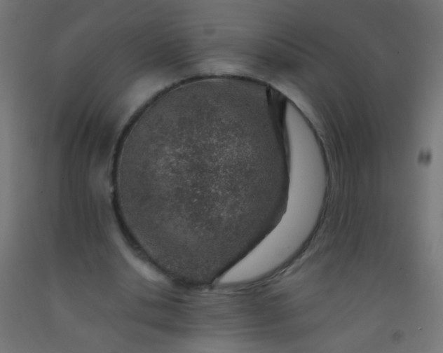 X0000092300438200709281329