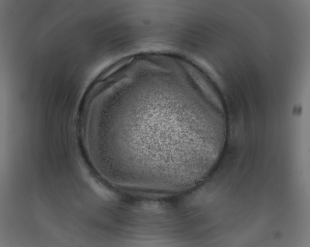 X0000092300439200709281329