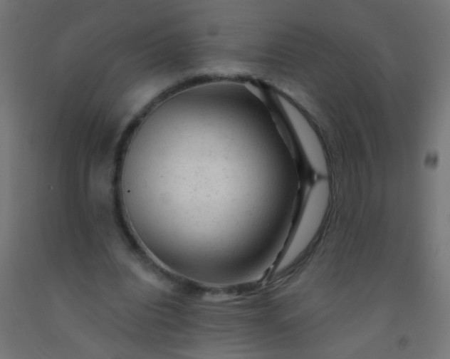 X0000092300440200709281329