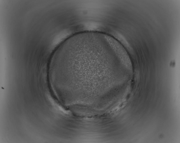 X0000092300442200709281329