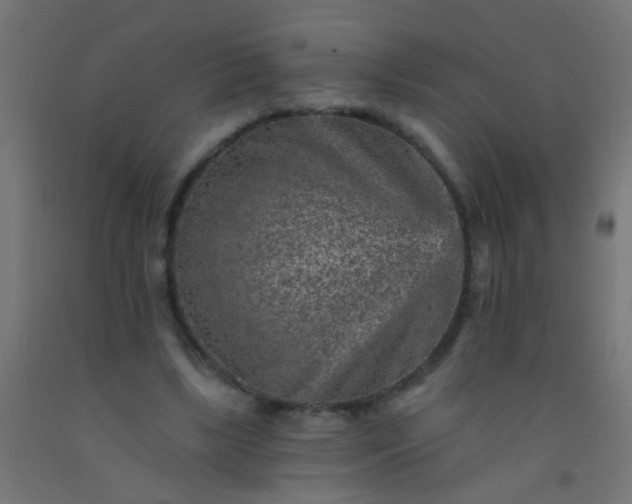 X0000092300443200709281329