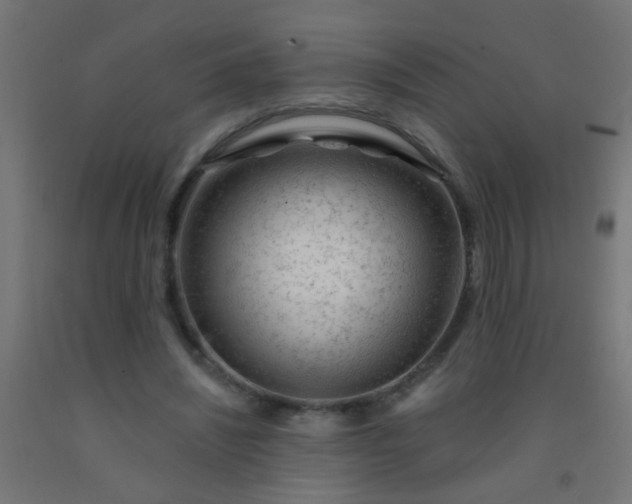 X0000092300444200709281329