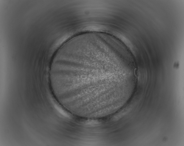 X0000092300445200709281329