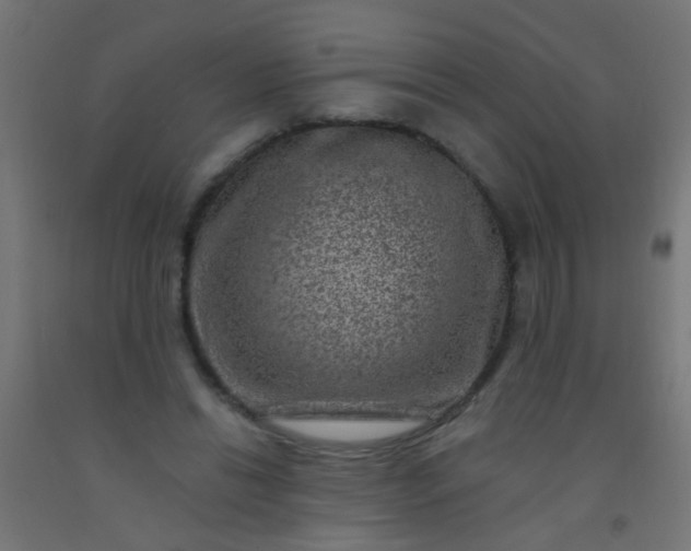 X0000092300446200709281329