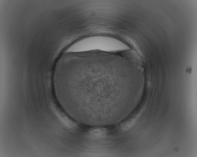 X0000092300447200709281329