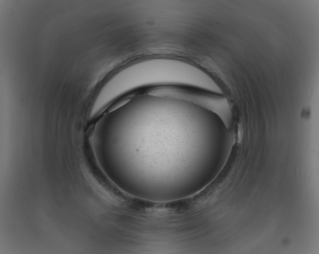 X0000092300448200709281329