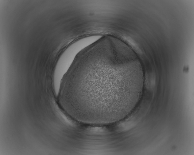 X0000092300449200709281329