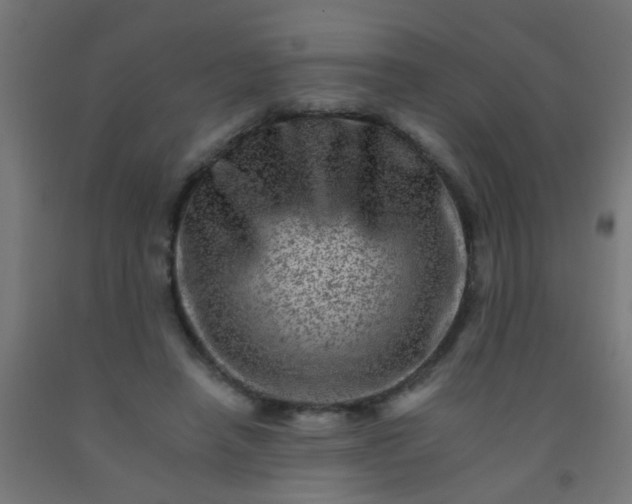 X0000092300450200709281329