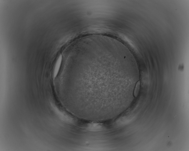 X0000092300451200709281329