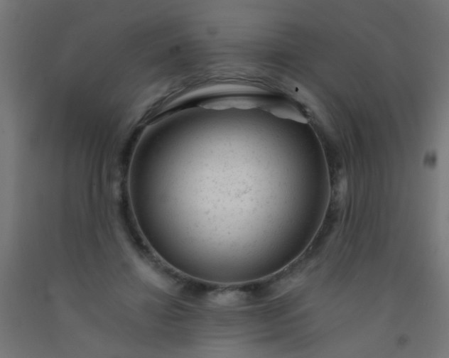 X0000092300452200709281329