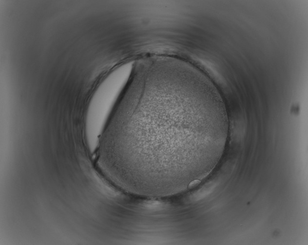 X0000092300453200709281329