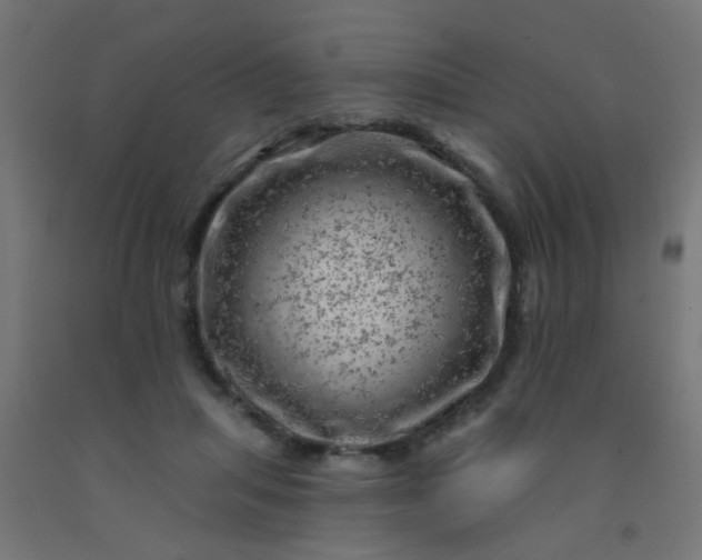 X0000092300455200709281330