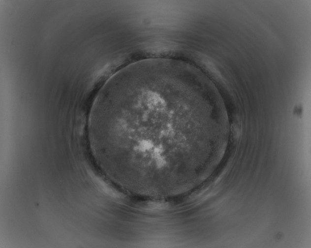 X0000092300458200709281330