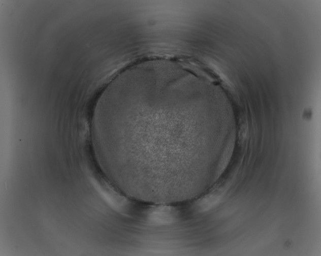 X0000092300459200709281330