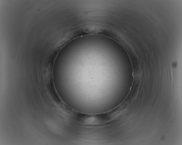 X0000092300460200709281330